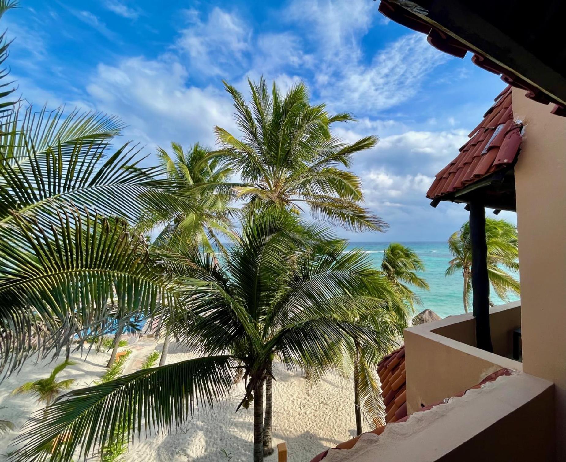 Beachfront Hammock Heaven アクマル エクステリア 写真