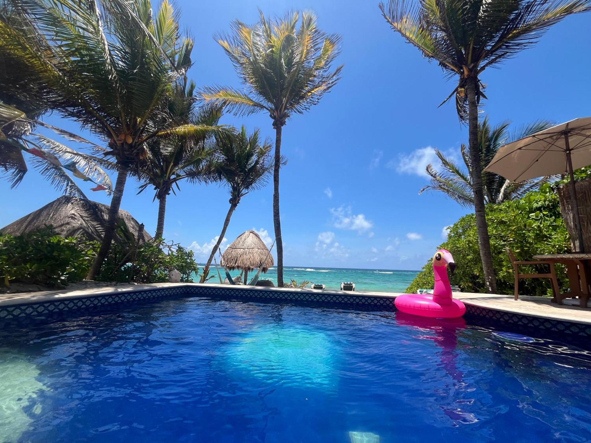 Beachfront Hammock Heaven アクマル エクステリア 写真