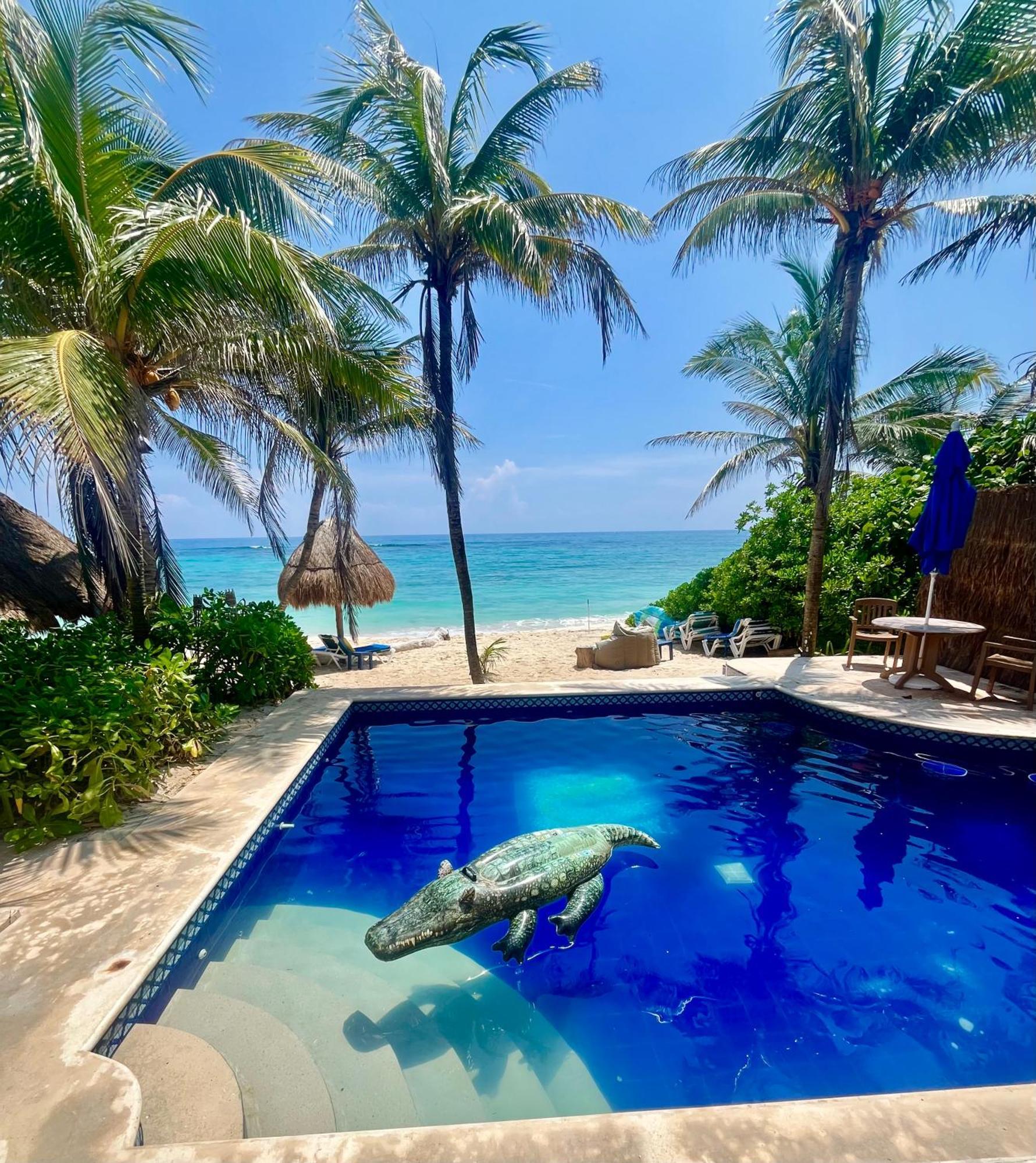 Beachfront Hammock Heaven アクマル エクステリア 写真