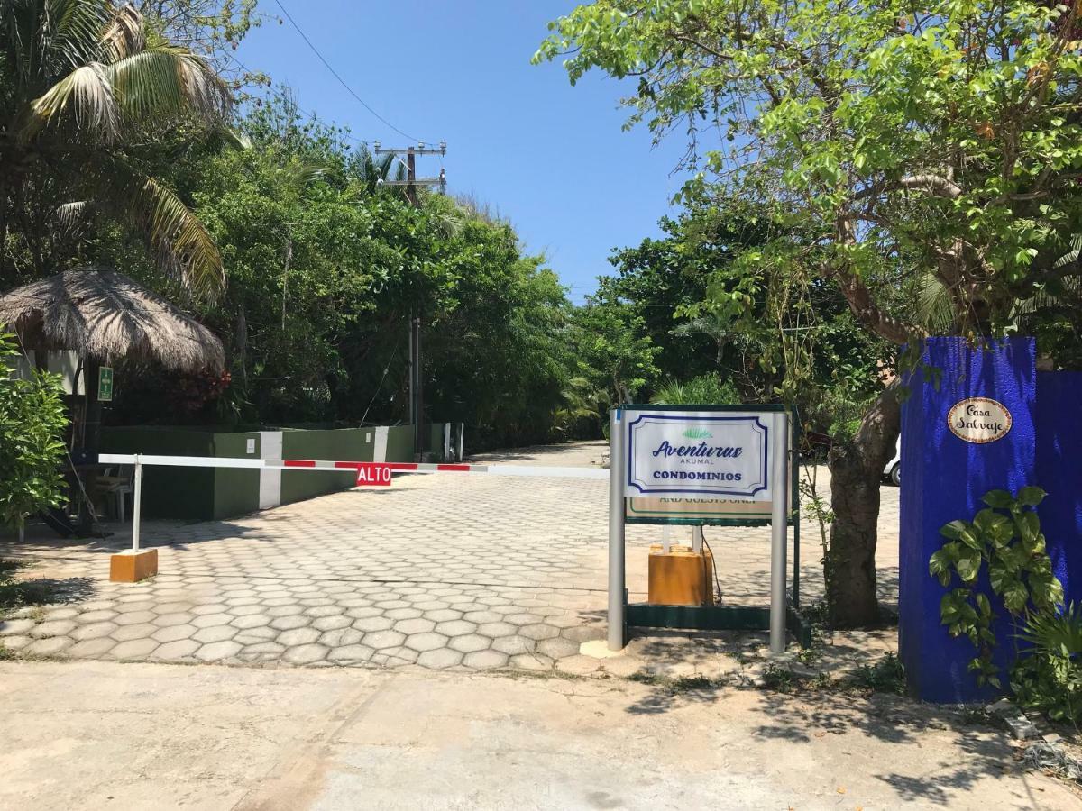 Beachfront Hammock Heaven アクマル エクステリア 写真